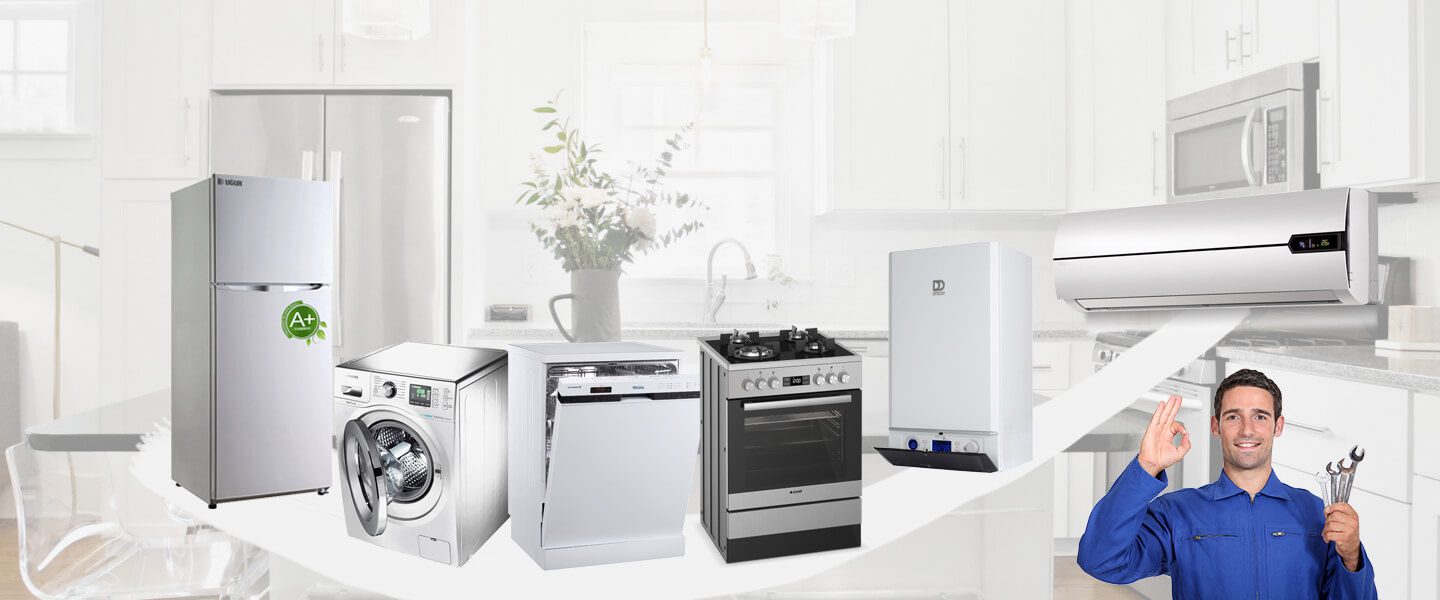 Tonya Electrolux Servisi